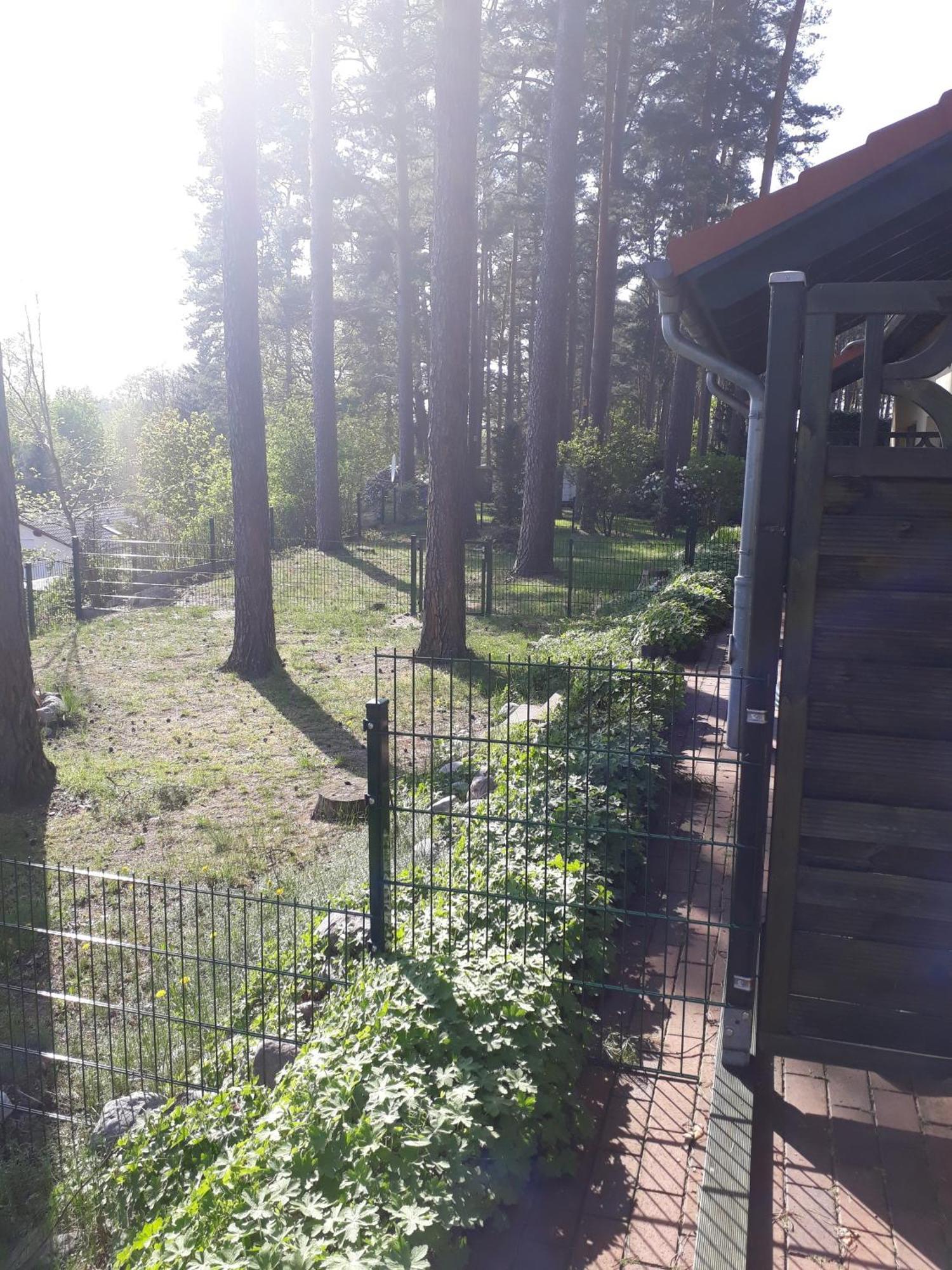 Ferienhaus Waldschneise B Am Jabeler See Kültér fotó